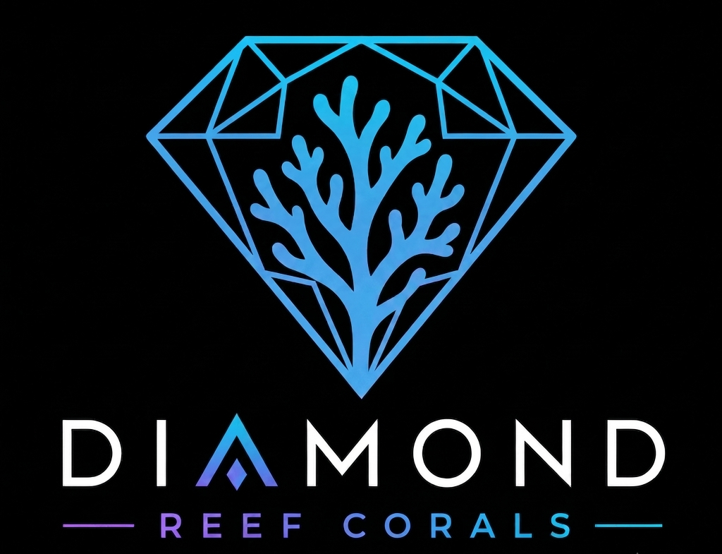 Diamond Reef Corals LLC
